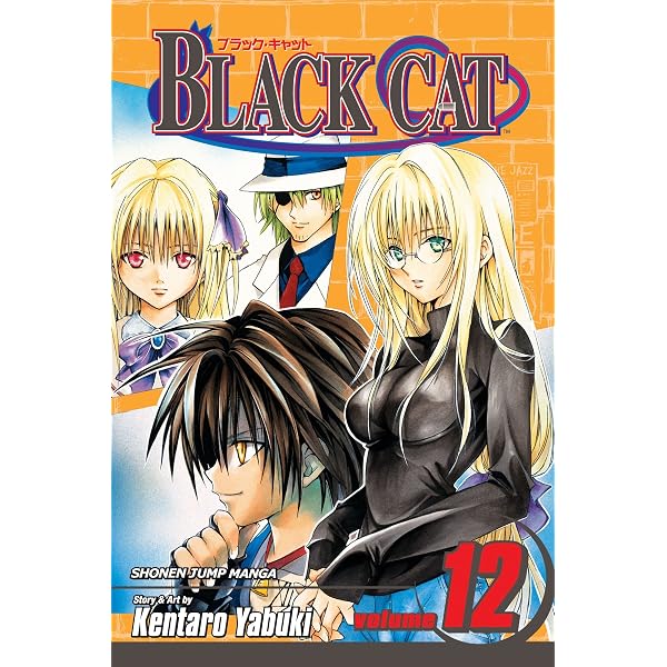 Amazon | Black Cat, Vol. 20: A Carefree Tomorrow | Yabuki, Kentaro